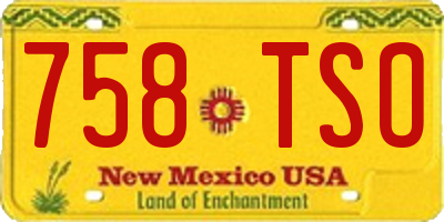 NM license plate 758TSO