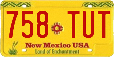 NM license plate 758TUT