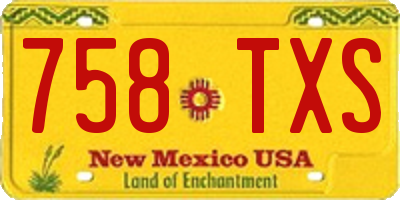 NM license plate 758TXS
