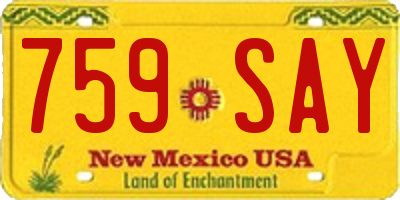 NM license plate 759SAY