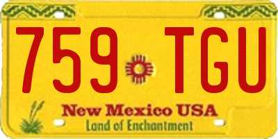 NM license plate 759TGU