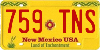 NM license plate 759TNS