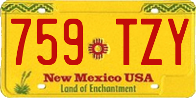 NM license plate 759TZY