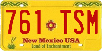 NM license plate 761TSM
