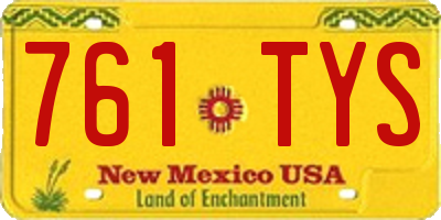 NM license plate 761TYS