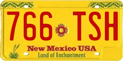 NM license plate 766TSH