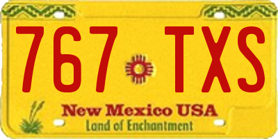 NM license plate 767TXS
