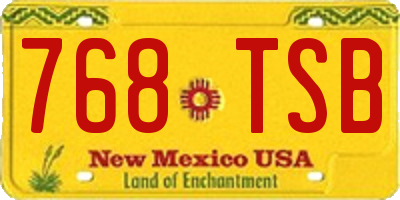 NM license plate 768TSB