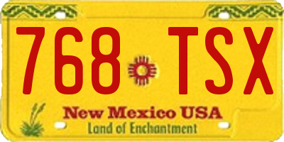 NM license plate 768TSX