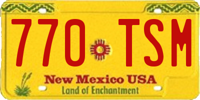NM license plate 770TSM