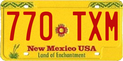 NM license plate 770TXM