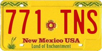 NM license plate 771TNS