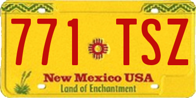 NM license plate 771TSZ