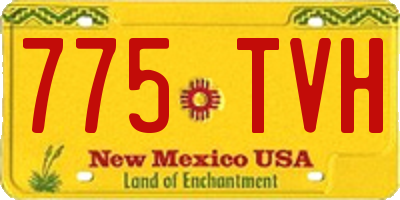 NM license plate 775TVH