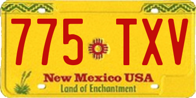 NM license plate 775TXV