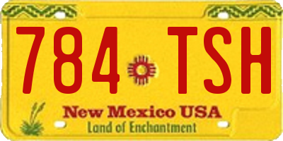 NM license plate 784TSH