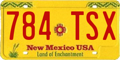 NM license plate 784TSX