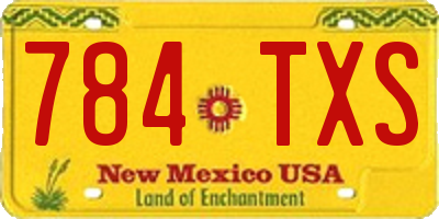 NM license plate 784TXS