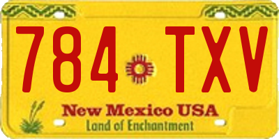 NM license plate 784TXV