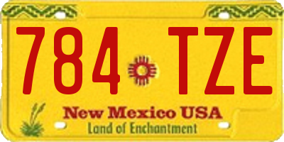 NM license plate 784TZE