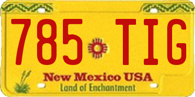 NM license plate 785TIG