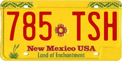 NM license plate 785TSH