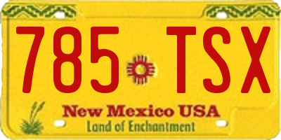 NM license plate 785TSX