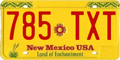 NM license plate 785TXT