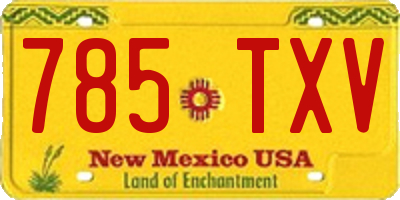 NM license plate 785TXV