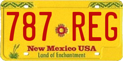 NM license plate 787REG