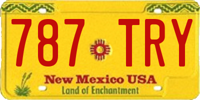 NM license plate 787TRY