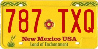 NM license plate 787TXQ