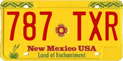 NM license plate 787TXR