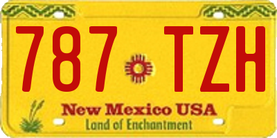 NM license plate 787TZH
