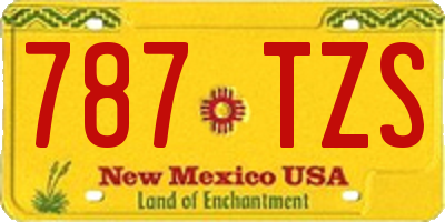 NM license plate 787TZS