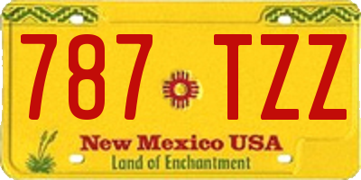 NM license plate 787TZZ