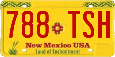 NM license plate 788TSH