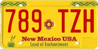 NM license plate 789TZH
