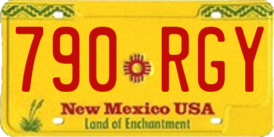 NM license plate 790RGY