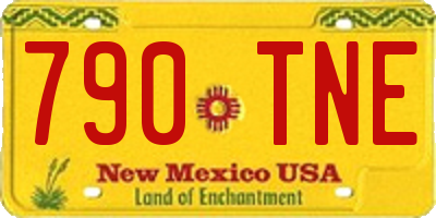 NM license plate 790TNE