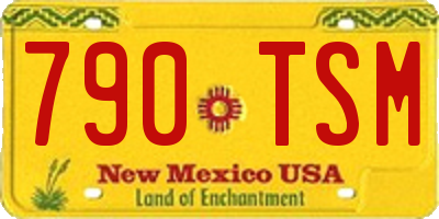 NM license plate 790TSM