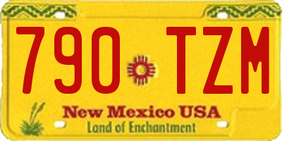 NM license plate 790TZM