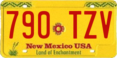 NM license plate 790TZV