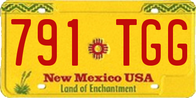 NM license plate 791TGG