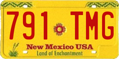 NM license plate 791TMG
