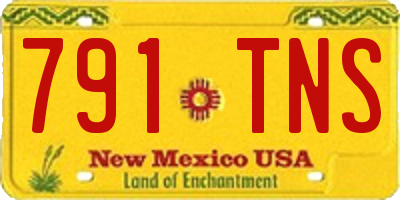 NM license plate 791TNS
