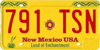 NM license plate 791TSN