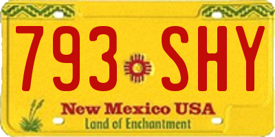 NM license plate 793SHY