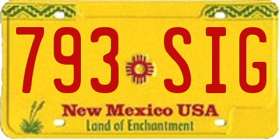 NM license plate 793SIG