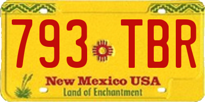 NM license plate 793TBR